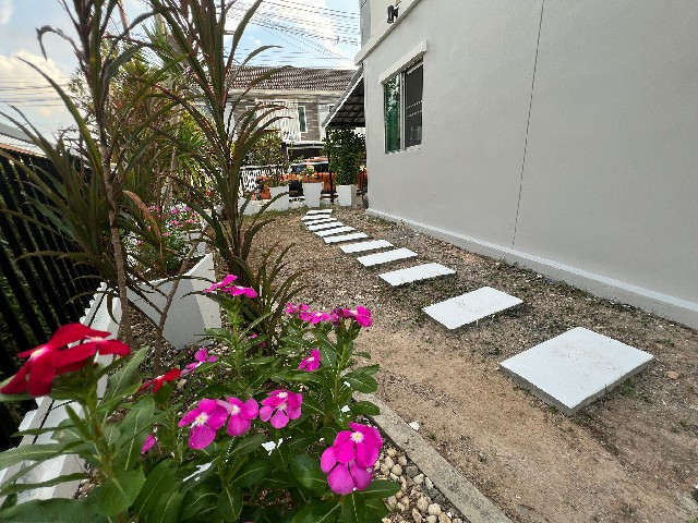 พฤกษาวิวถลาง (แขนน) WR-00888 10