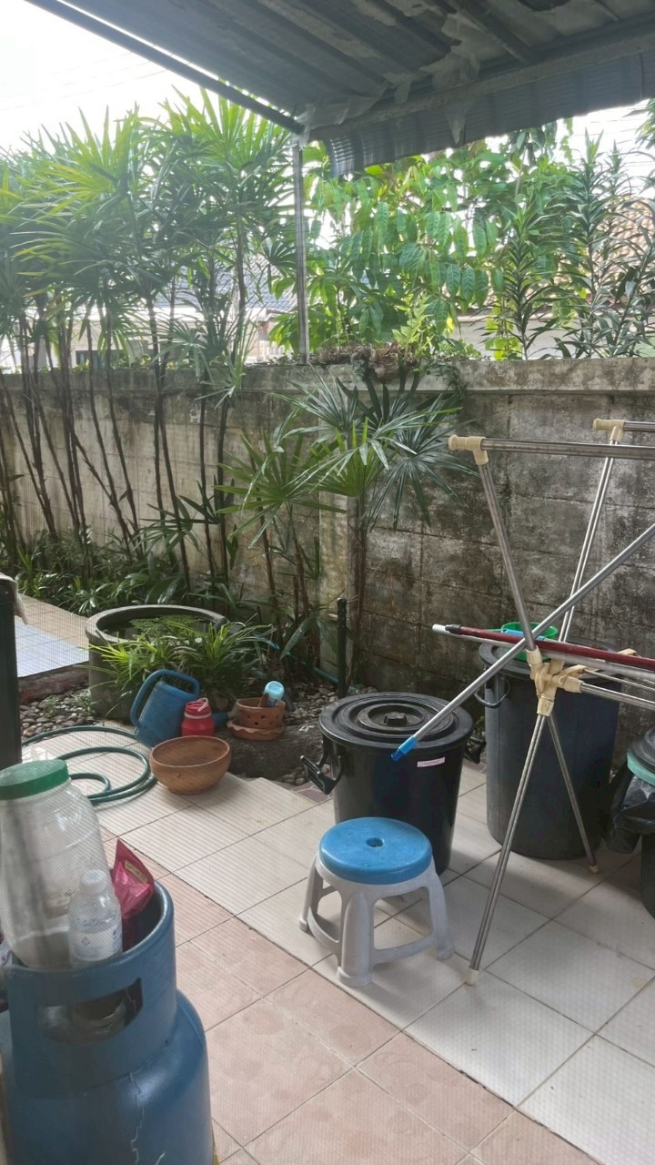 หมู่บ้านปาล์มการ์เด้น ป่าคลอก WR-03186 9