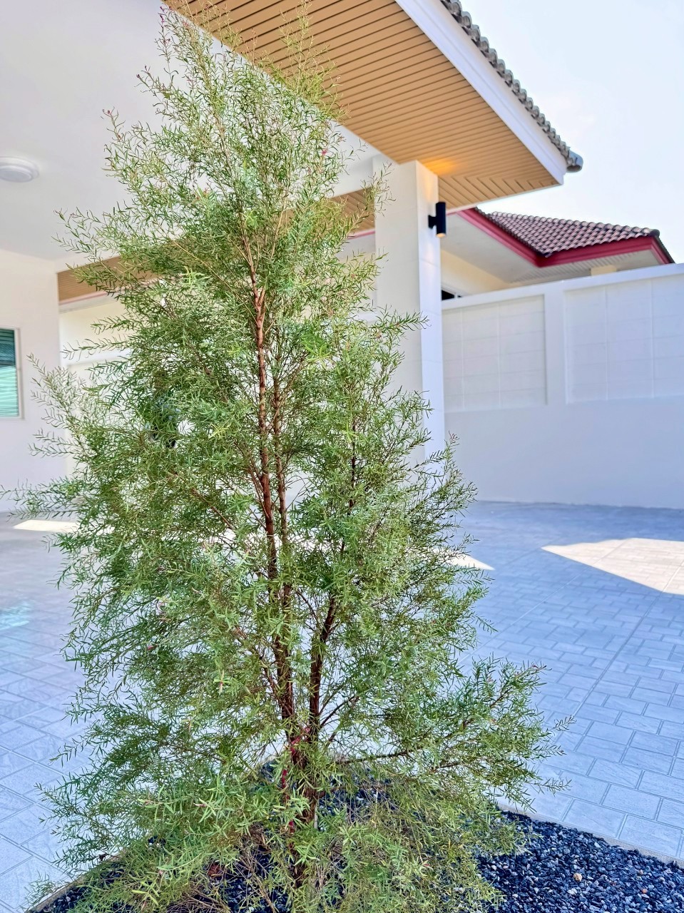 หมู่บ้านอุดมสุข ป่าคลอก WR-03110 12