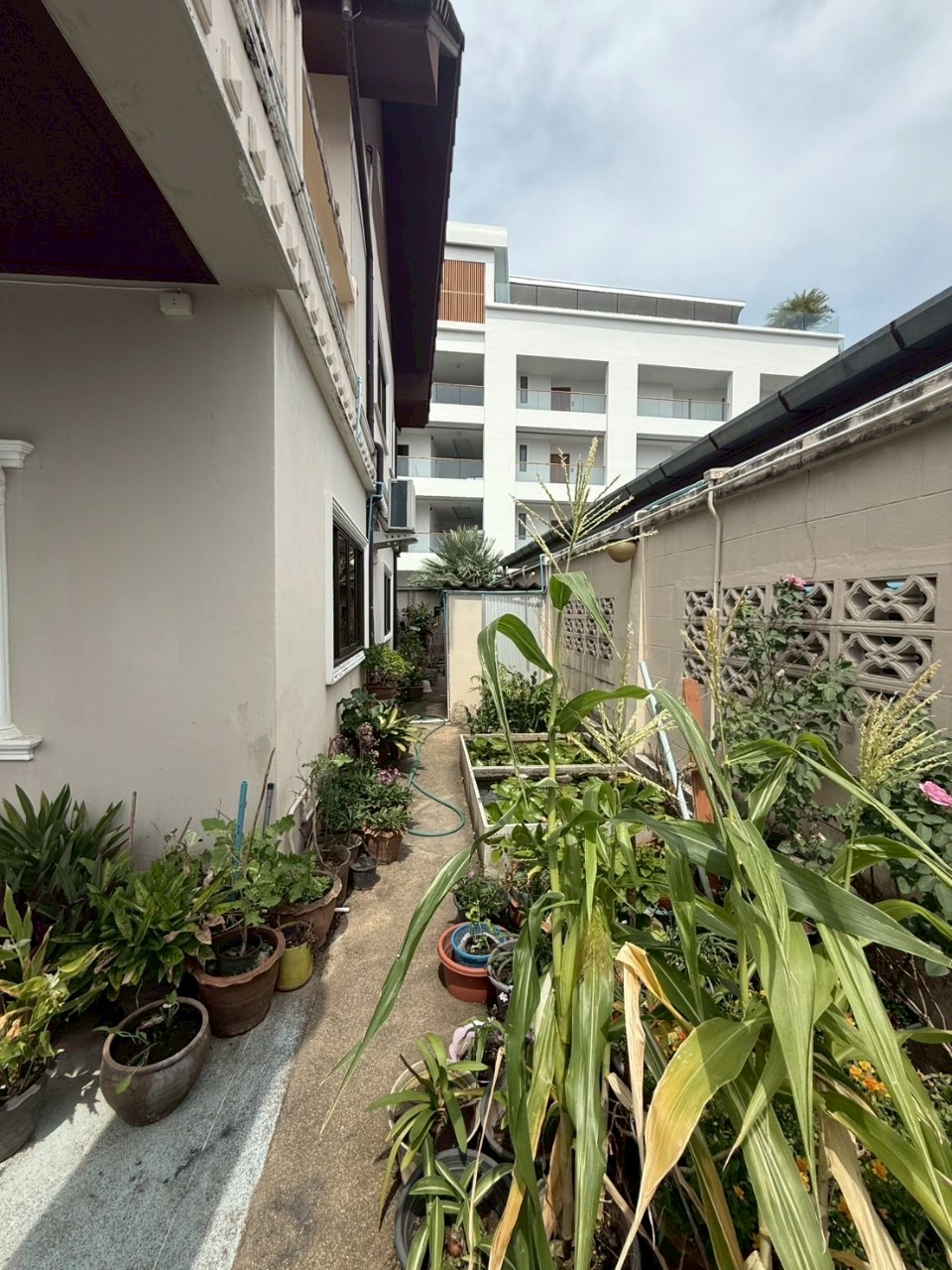 ที่ดินพร้อมสิ่งปลูกสร้าง ไสยวน WR-03286 8
