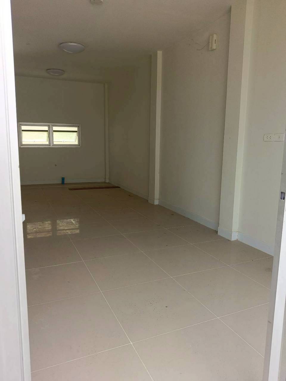 หมู่บ้านกรีนวิลล์ ป่าครองชีพ WR-03662 2