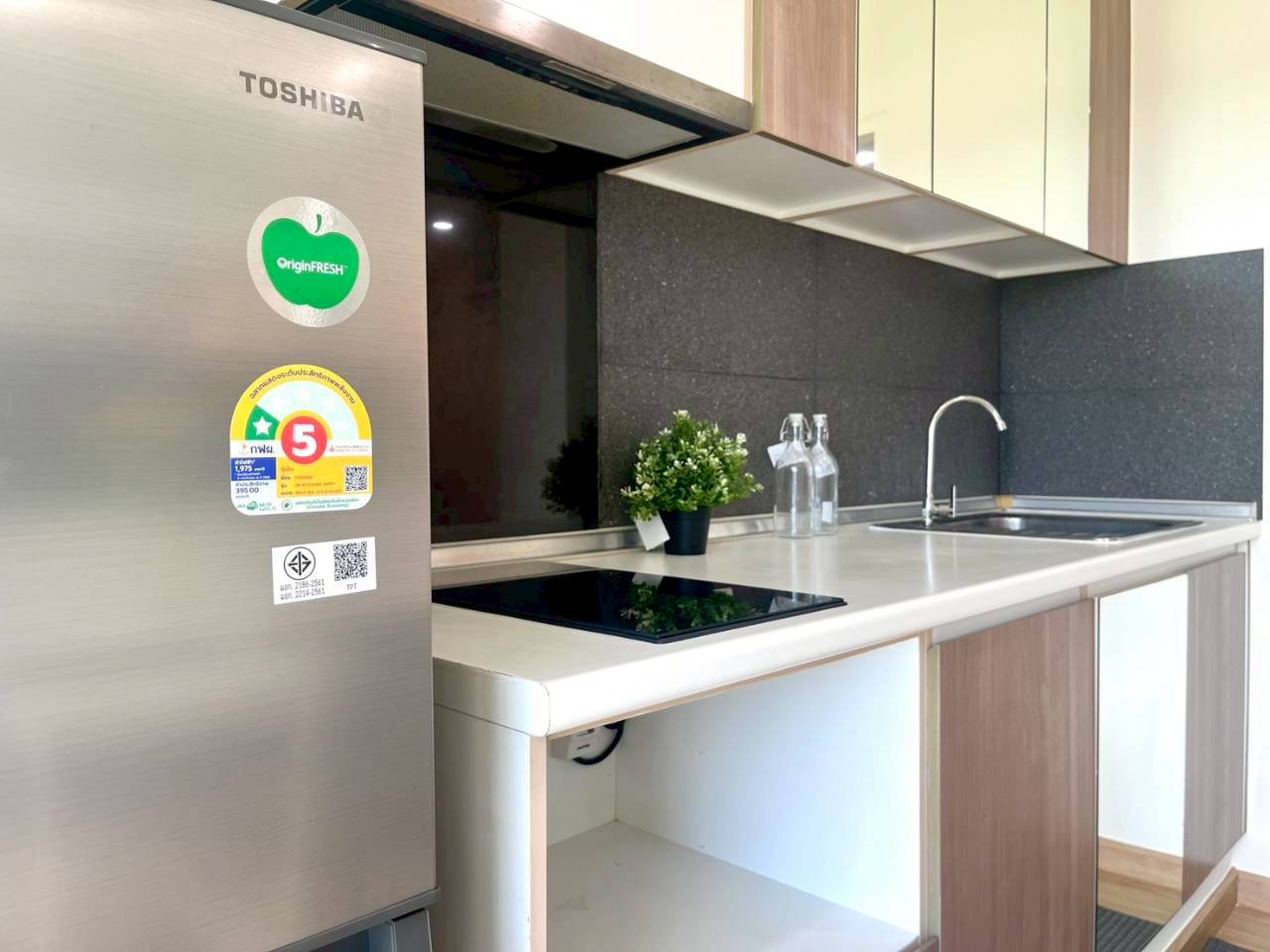 Plus 2 Condominium WR-03830 10