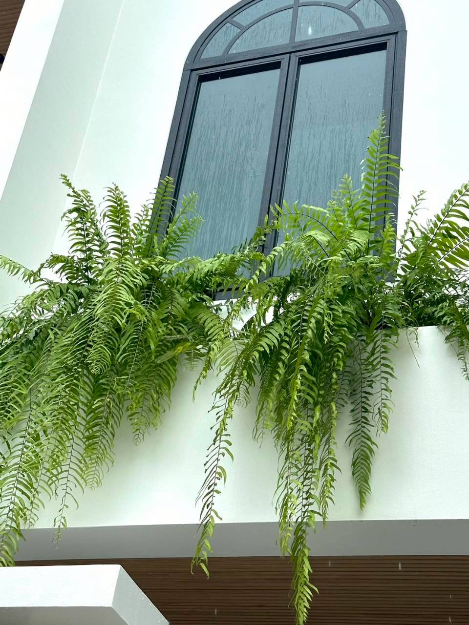 วิลล่าป่าสัก WR-03905 5