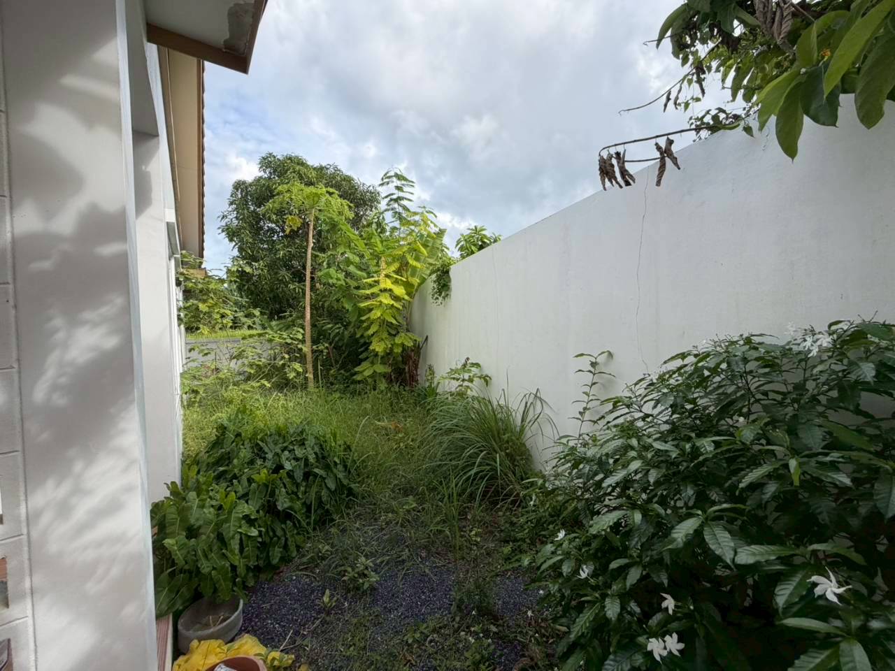 หมู่บ้านสินสุขธานี ถลาง WR-03950 7