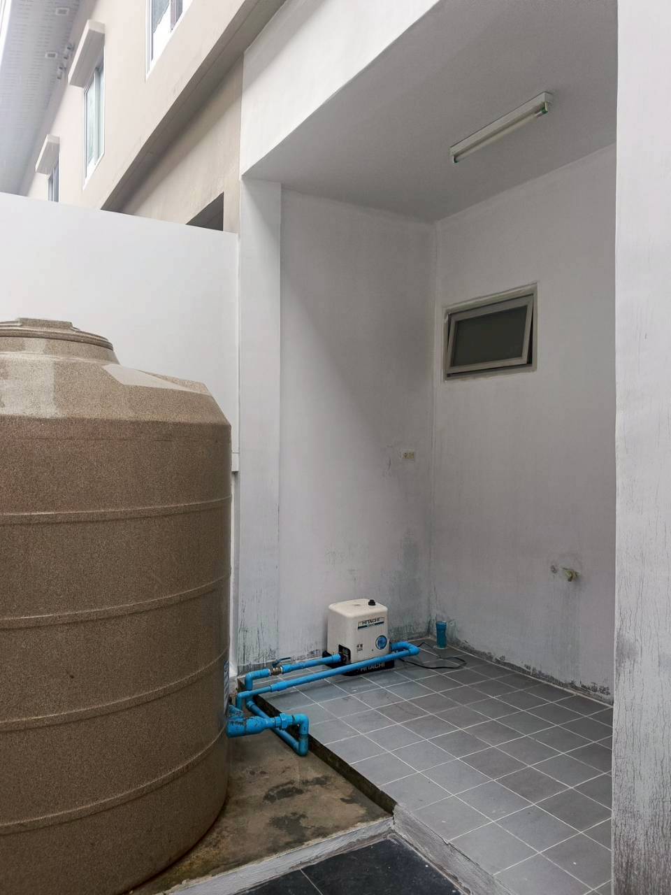 หมู่บ้านกรีนวิลล์ ป่าครองชีพ WR-03999 9