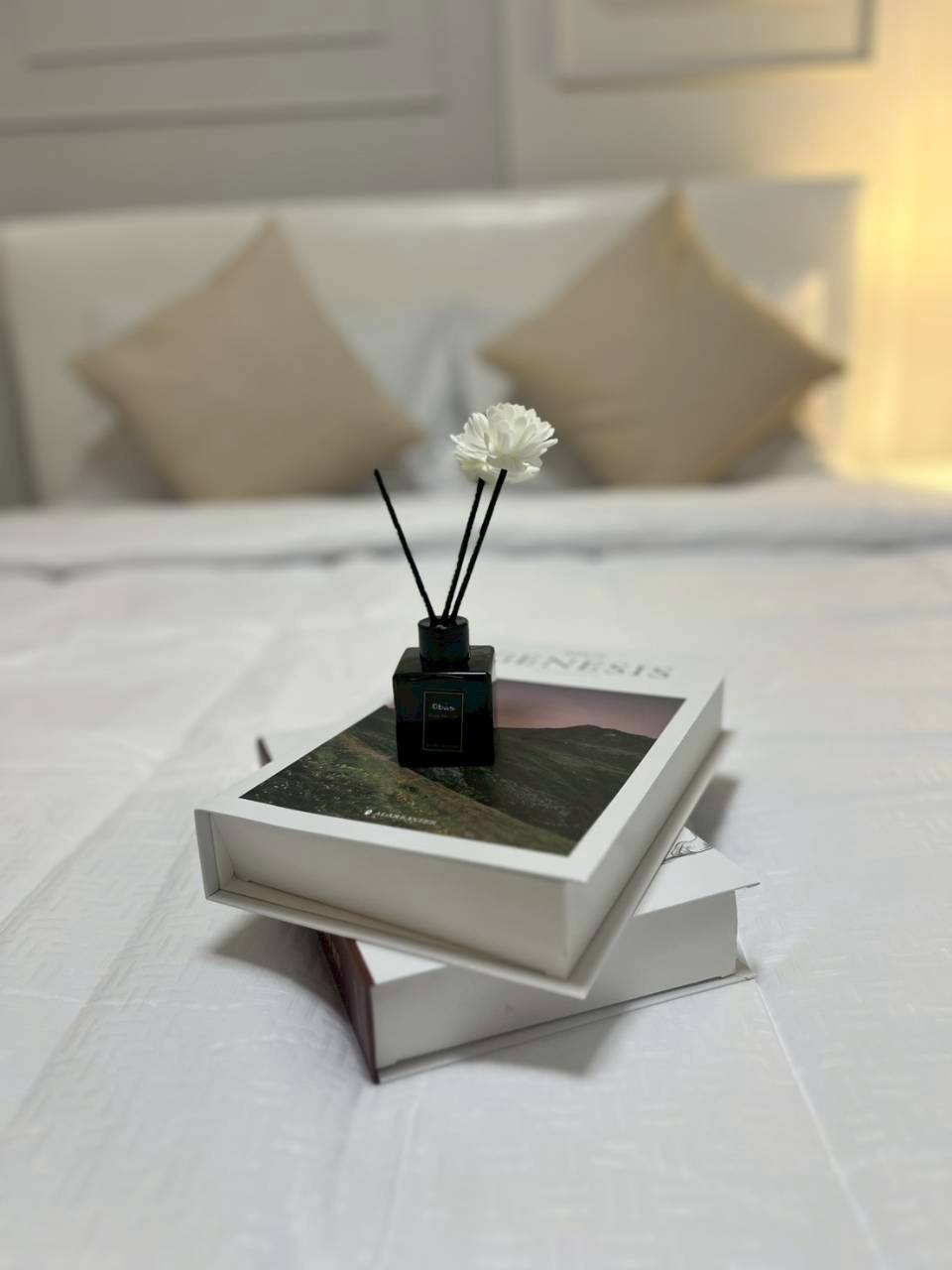 Dcondo Mine WR-04026 10