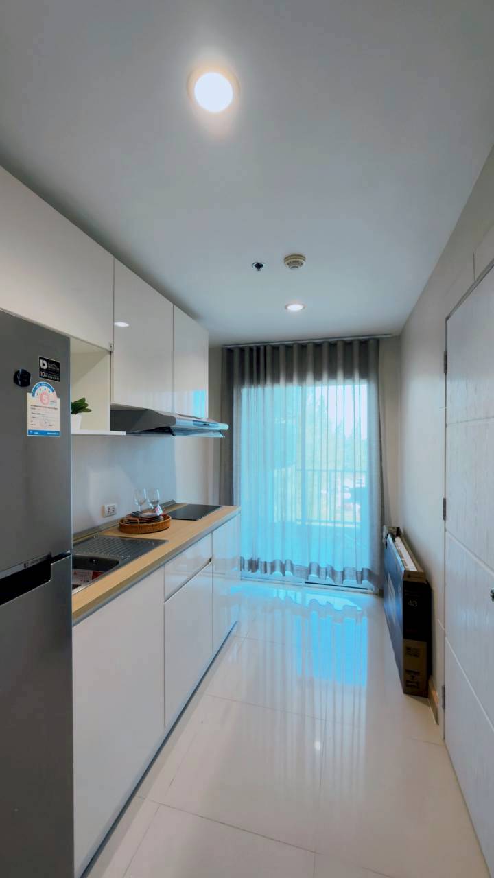 The View Suanluang WR-04047 8