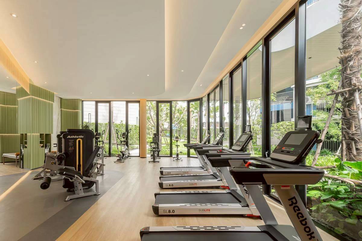 Dcondo Reef Kathu WR-04172 10