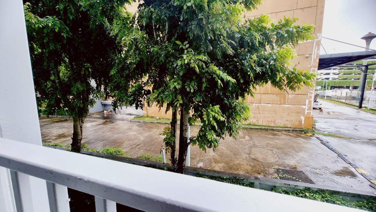 The Base Downtown WR-04178 12