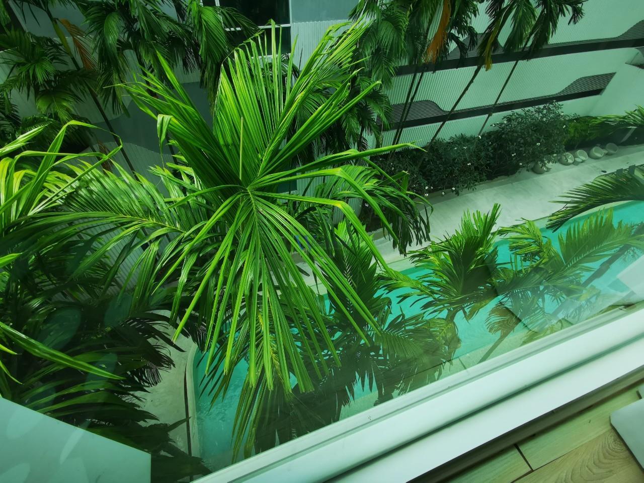 The Base Downtown WR-04179 6