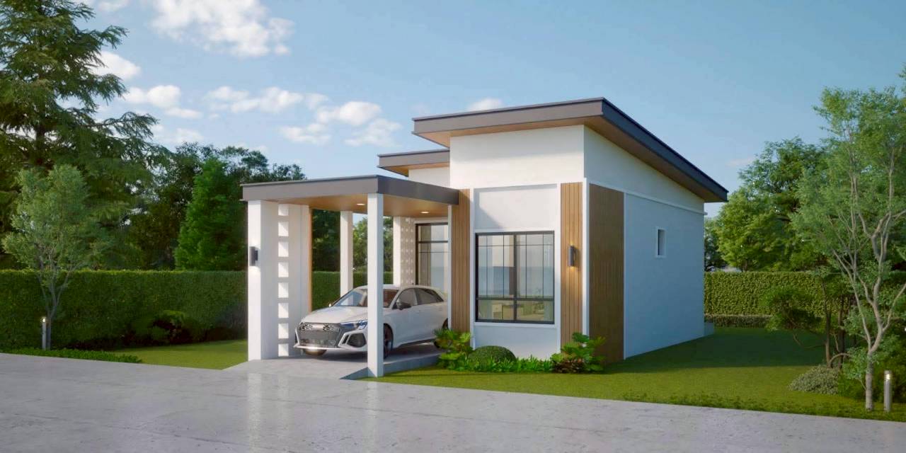 ซีรีนเนสท์ กะทู้ WR-04188 3