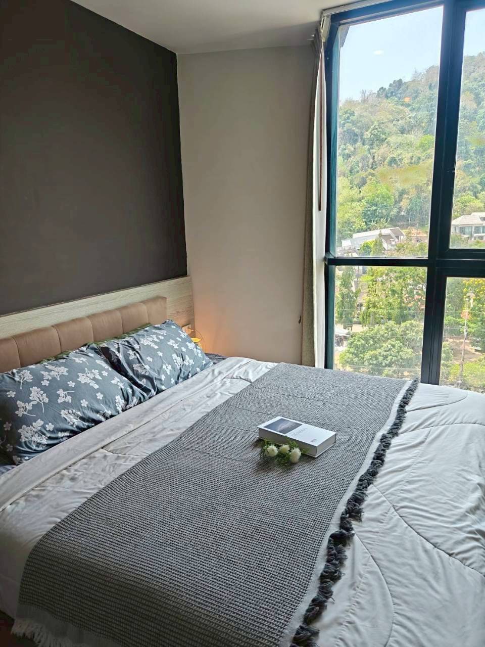 The Base Height WR-04293 4