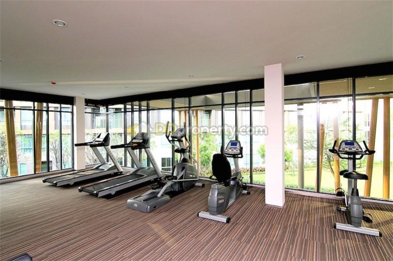 Dcondo Creek WR-04294 12