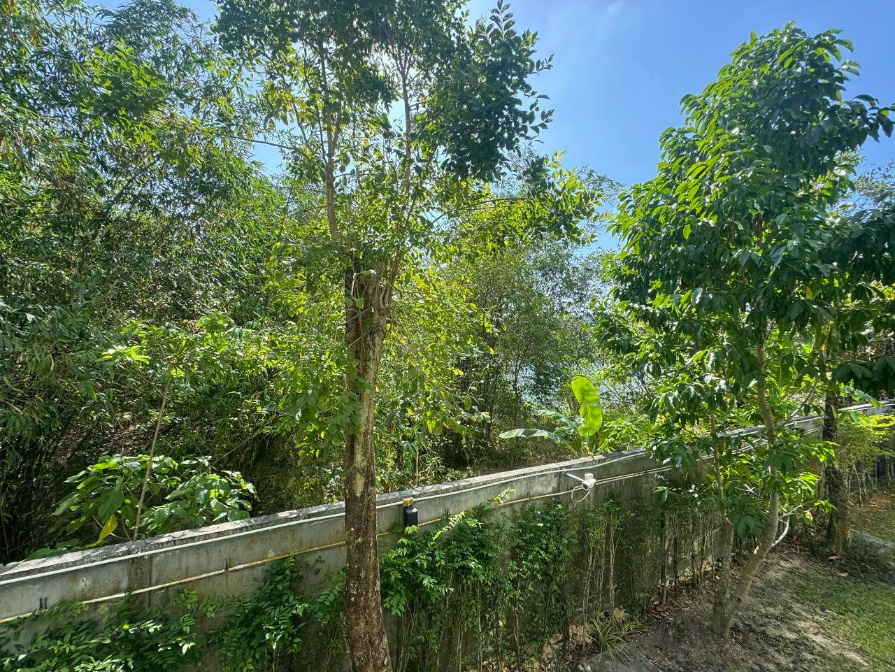 Dcondo Kathu - Patong WR-04318 11