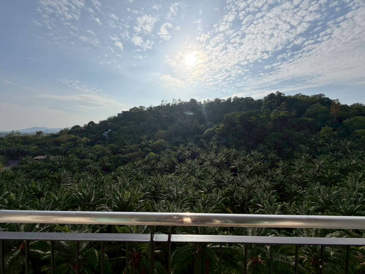 Phanason The Green Place Condominium WR-04334 11