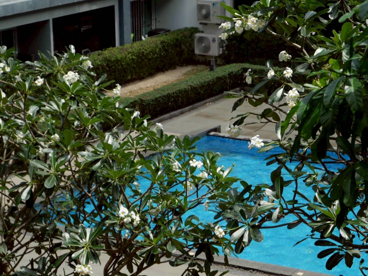 The View Suanluang WR-04357 10