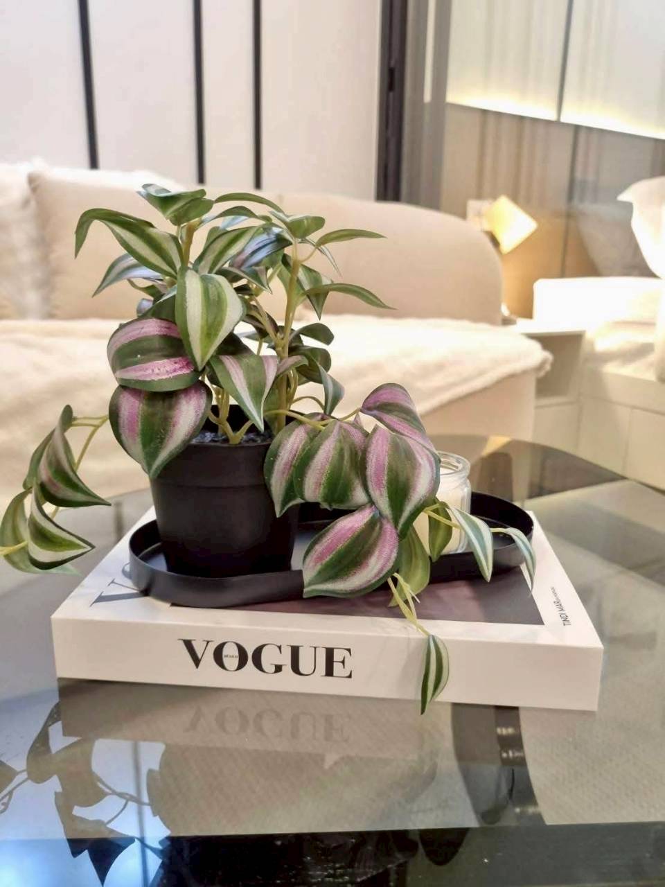 The View Suanluang WR-04433 9