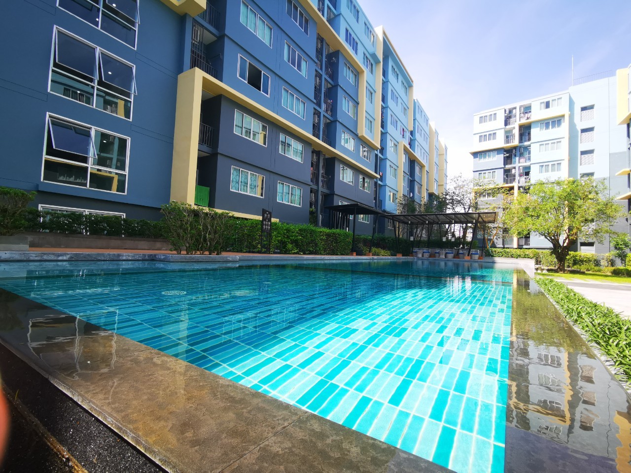 Dcondo Kathu WR-04783 12